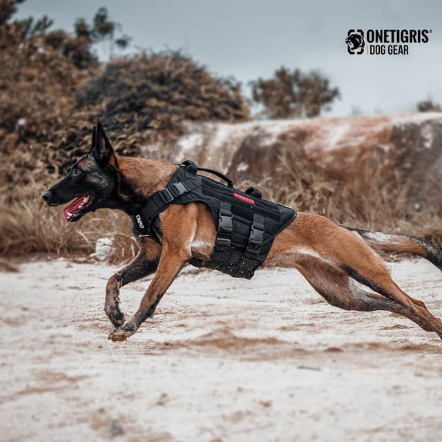 Detalle 2 de OneTigris Harnais tactique X Destroyer pour chien (noir, taille S) – nylon 1000D, 3 poignées et boucles métal