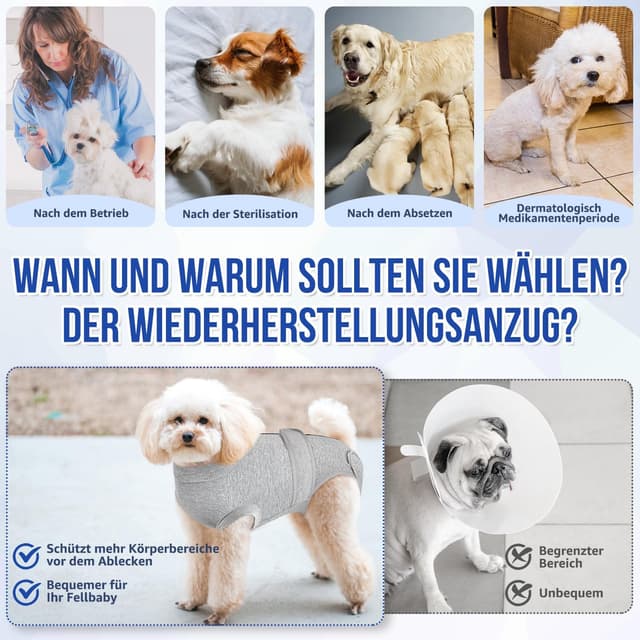 Detalle 2 de Eyein Hundebody nach OP als Wundschutzanzug für Hunde mit Reißverschluss & Klett Gürtel (Grau, M)