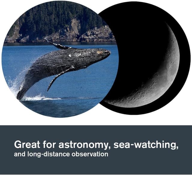 Thumbnail 4 de Celestron SkyMaster 25x100 Binoculars