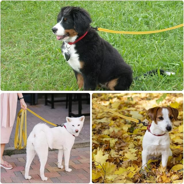 Detalle 2 de COMSLE guinzaglio per addestramento per cani con corda lunga e gancio robusto