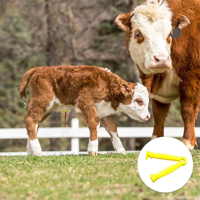 Thumbnail 6 de MABAHON Nabelschnurklemme 30 Stück 🩺