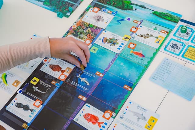 Thumbnail 3 de Stonemaier Finspan board game