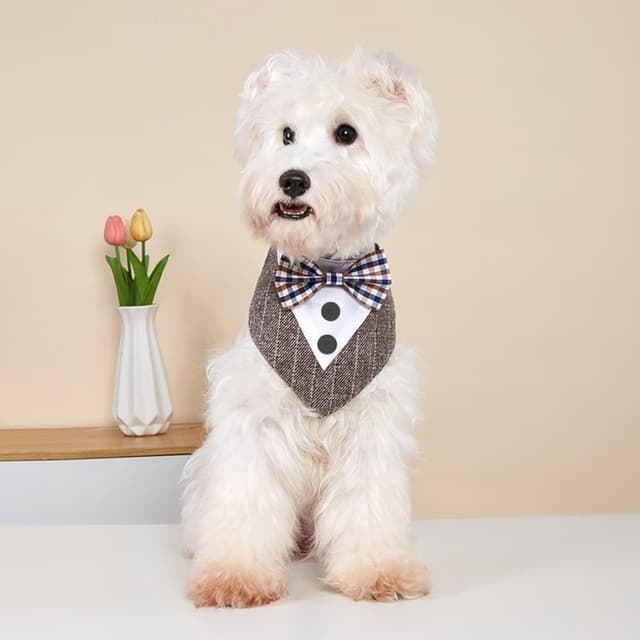 Detalle 1 de BT Bear Tuxedo Collar Bandana Bow Tie