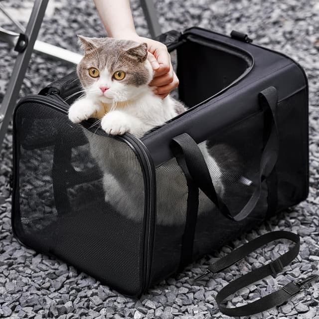Detalle de Conlun Katzentransportbox faltbar (Weiche Transporttasche) mit 4-seitigem Netz – bis 6 kg, 43 × 28 × 28 cm, Schwarz