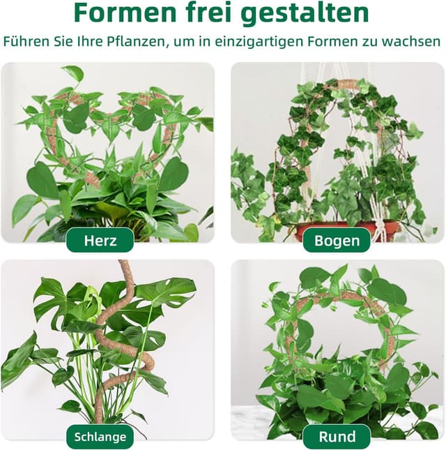 Detalle de Mcbazel 160 cm Monstera Rankhilfe aus Kokosfaser mit Zubehör – Pflanzenstütze für Kletterpflanzen im Innenbereich
