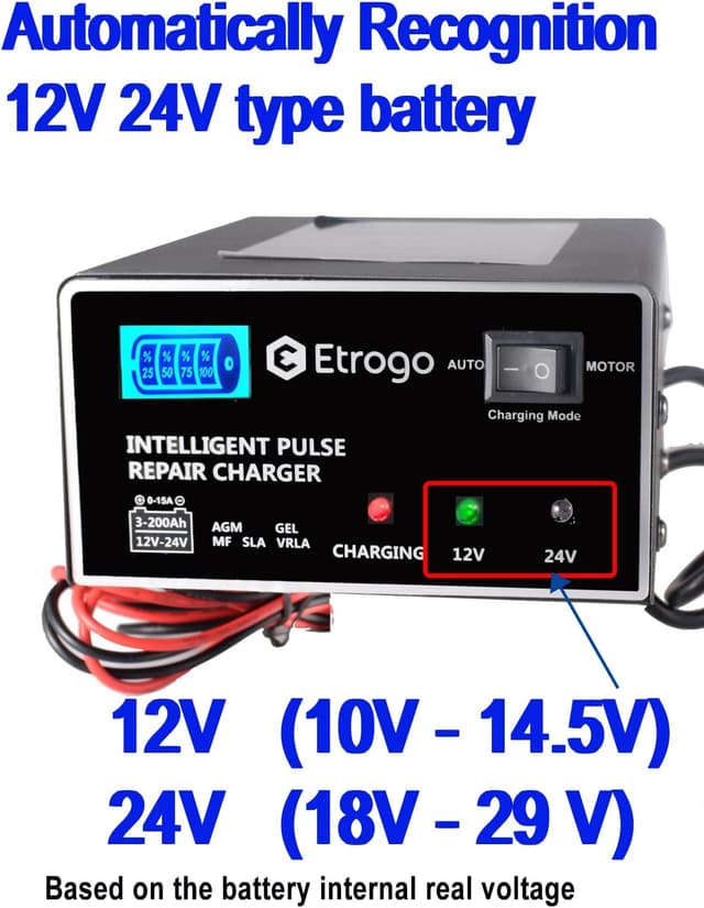 Detalle 2 de Etrogo Caricabatteria 12V 24V 10A con LED 250W