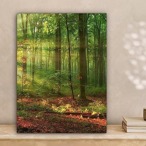 Thumbnail 5 de MuchoWow Impression toile 30x40 cm ForĂȘt đš