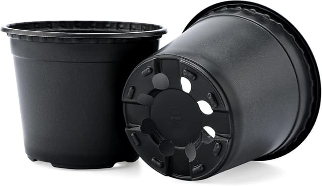 Detalle de KINGLAKE seedling pots 15 cm, 50 pack