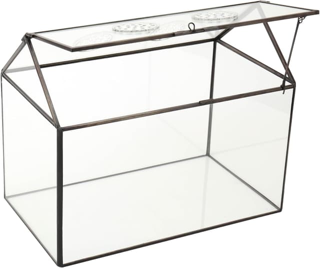 Detalle 2 de NCYP glass terrarium box 26x15x21 cm