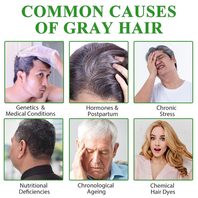 Detalle 2 de Dunkelbraunes Haarfärbeshampoo 3-in-1 zur Abdeckung grauer Haare (pflanzliche Haarfarbe)