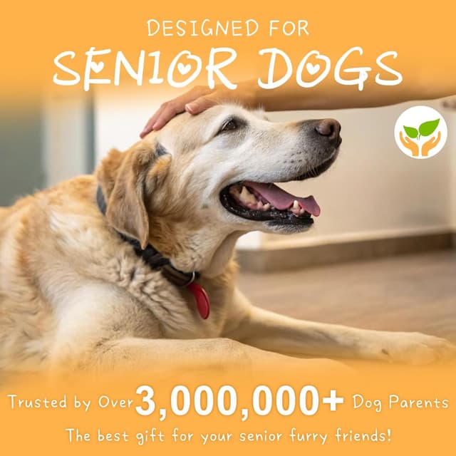 Detalle de BEAUTYZOO Hundesocken Anti Rutsch im 6er-Set (doppelseitig, mit Klettverschluss) – für Innenbereich, Pfotenschutz