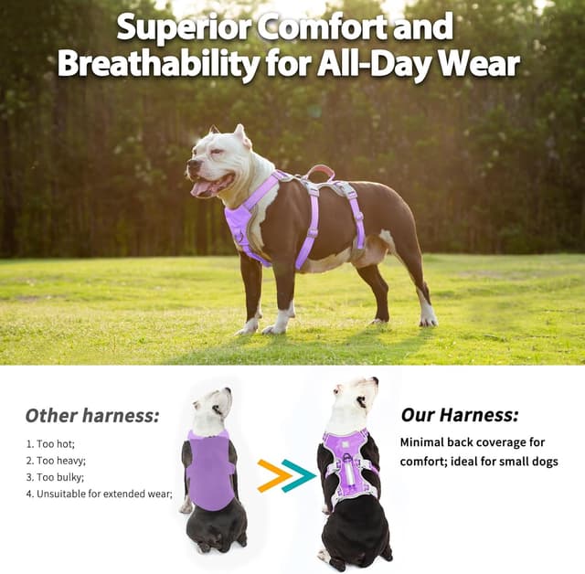 Detalle 2 de Huntboo No Escape Dog Harness Lavender M