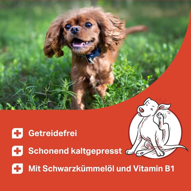 Detalle 2 de MEDIDOG Zeggi Weggi Premium Drops für Hunde mit Schwarzkümmelöl & Lammprotein – 400 g