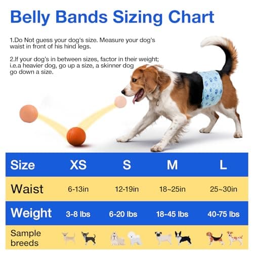 Thumbnail 5 de Flying Paws Pannolini per cani L 26 pezzi assorbenti