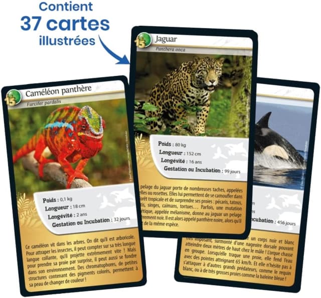 Thumbnail 4 de Bioviva DEFIS Nature Edición especial Animales Oscuro y Dorado