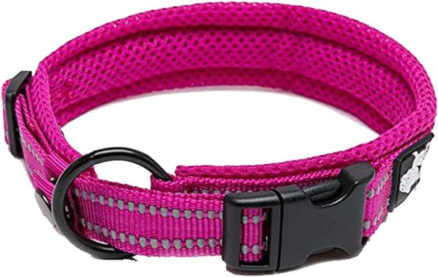 Detalle de Truelove TLC5011 Reflective Premium Nylon Dog Training Collar (2XL) – No Choke