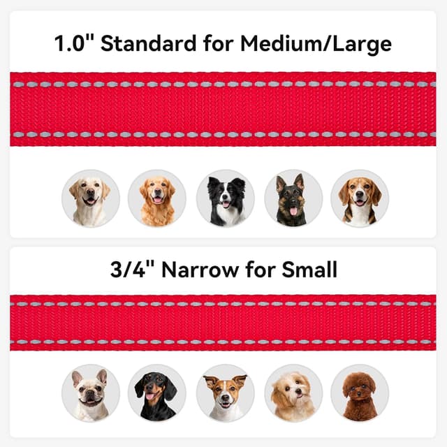 Thumbnail 5 de Joytale Padded Handle Dog Lead 1.2m