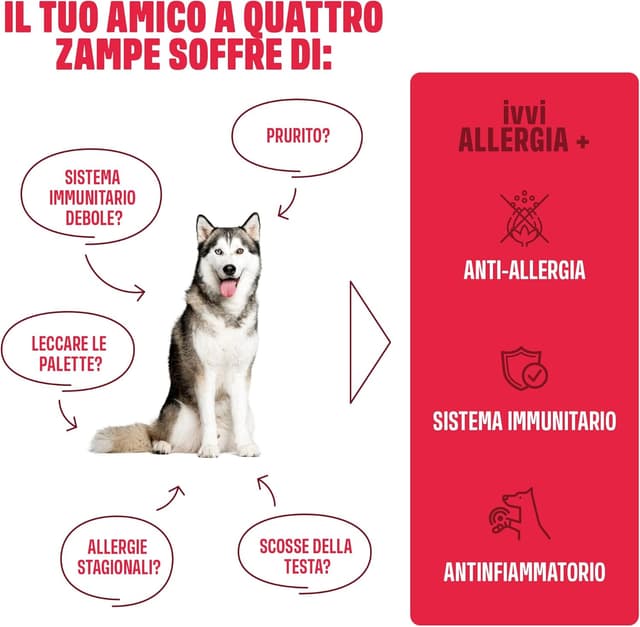 Detalle 2 de ivvi Allergy Immunity snack per cani al salmone (60 snack, 270g) contro allergie, prurito e per il sistema immunitario