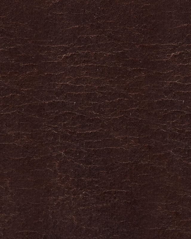 Detalle 2 de G-STAR Men’s Dast Belt (Thick leather strap with roller buckle)