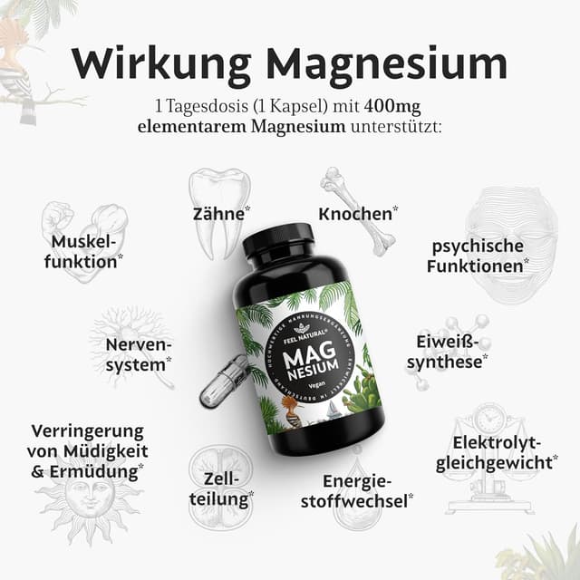 Thumbnail 1 de Magnesium hochdosiert Kapseln 365 Stück – 664 mg je Kapsel 💊