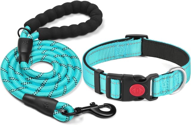 Detalle de haapaw reflektierendes gepolstertes Hundehalsband aus Neopren (Nylon) inkl. 1,5 m Hundeleine