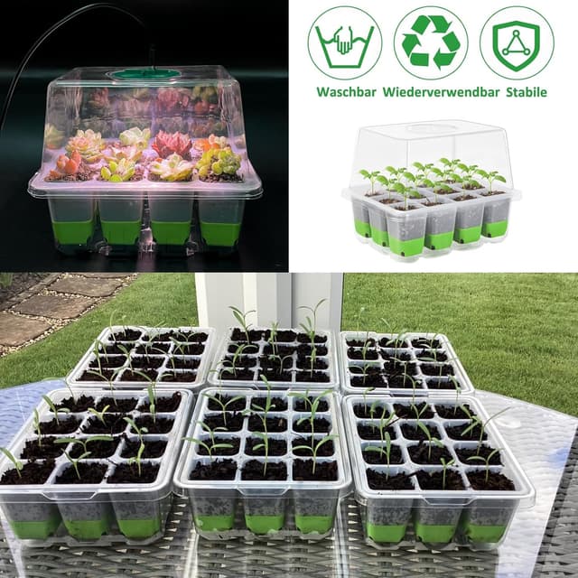 Detalle de VDYXEW seed germination kit 12 cells