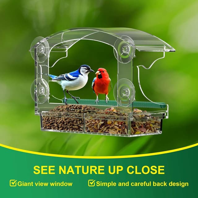 Detalle 2 de BPYOT Acrylic Window Bird Feeder with 4 suction cups 🐦