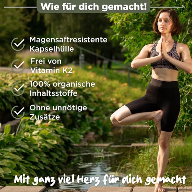 Detalle de BLATTWERK Nattokinase 2000 FU – 365 Kapseln mit 100 mg (Jahresvorrat, vegan)