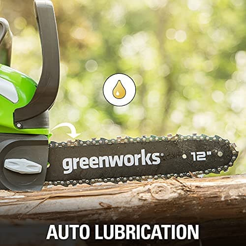 Thumbnail 3 de Greenworks G40CS30, 30 cm, ⚙