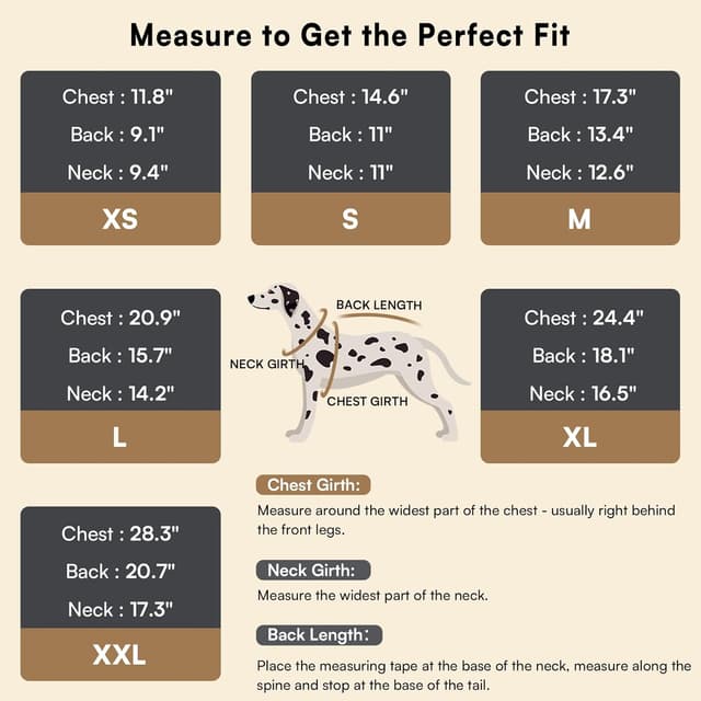 Detalle de Queenmore Small Dachshund Jumper Knitting Dog Jumper Turtleneck (Blue, XS)