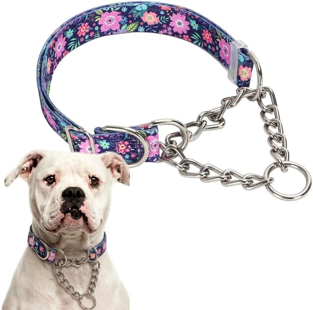 Thumbnail 6 de Hotlion Chain Dog Collar – Heavy Duty Martingale Collar (Stainless Steel) for Medium & Large Dogs