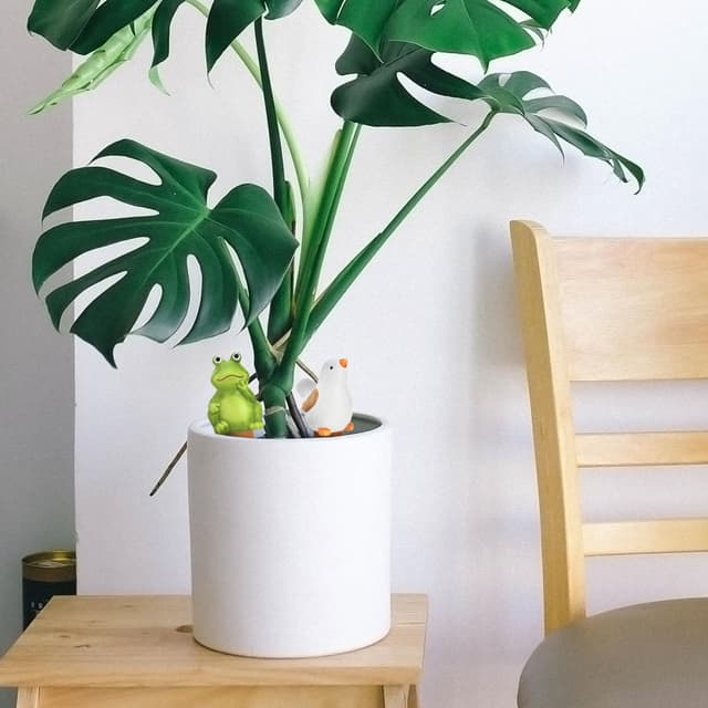 Detalle de COM-FOUR irrigatori 4 pezzi 50 ml 🌱