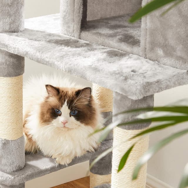 Thumbnail 5 de Feandrea PCT85W Arbre Ă chat 150 cm đ±