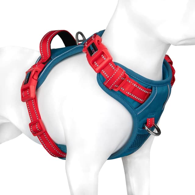 Detalle de PHOEPET No Pull Dog Harness with Escape Proof Adjustable Vest, Reflective, Teal Base & Red Straps (Size M)