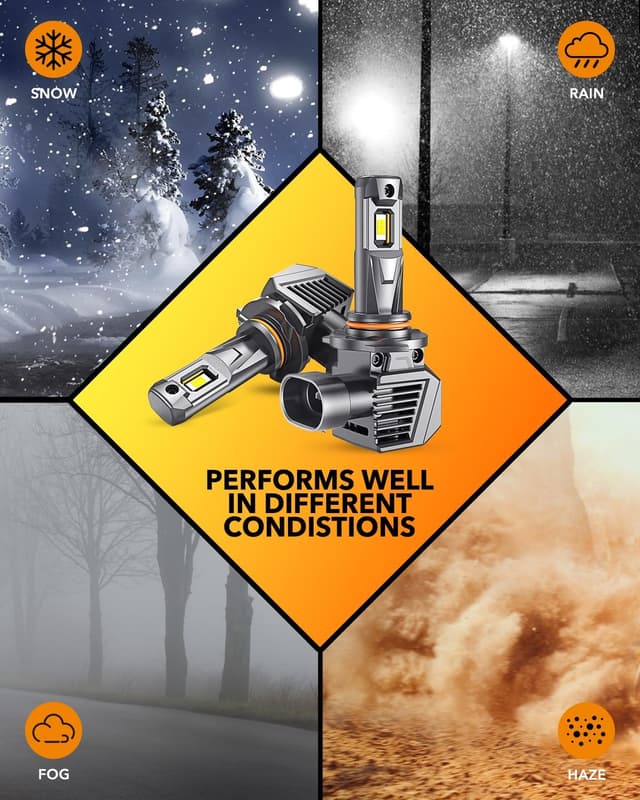 Thumbnail 6 de OXILAM M5S 9005 LED bulbs, 80000LM