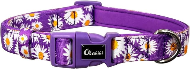 Detalle de Olahibi Basic Dog Collar (L, Purple Daisy) — polyester webbing padded with soft neoprene