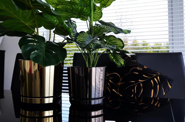 Thumbnail 3 de KERD Set Blumentöpfe 16 cm Glänzend Schwarz