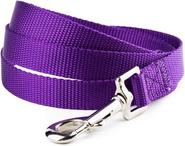 Detalle de YUDOTE Basic Nylon Dog Lead (2.5cm x 120cm) in Vibrant Purple