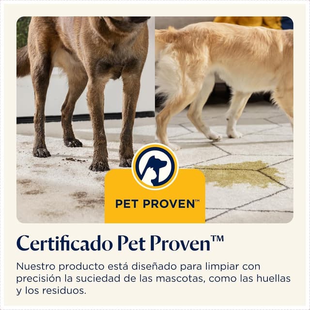 Thumbnail 6 de BISSELL SpotClean Pet Pro 🐾, Aspiradora para Mascotas y Tapicería