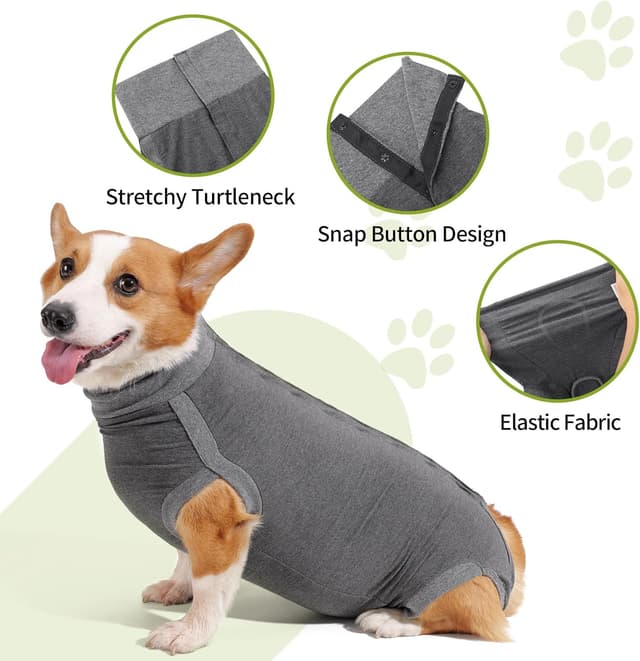 Detalle 2 de HEYWEAN Tuta post-operatoria per cani Cane: body chirurgico per maschi e femmine