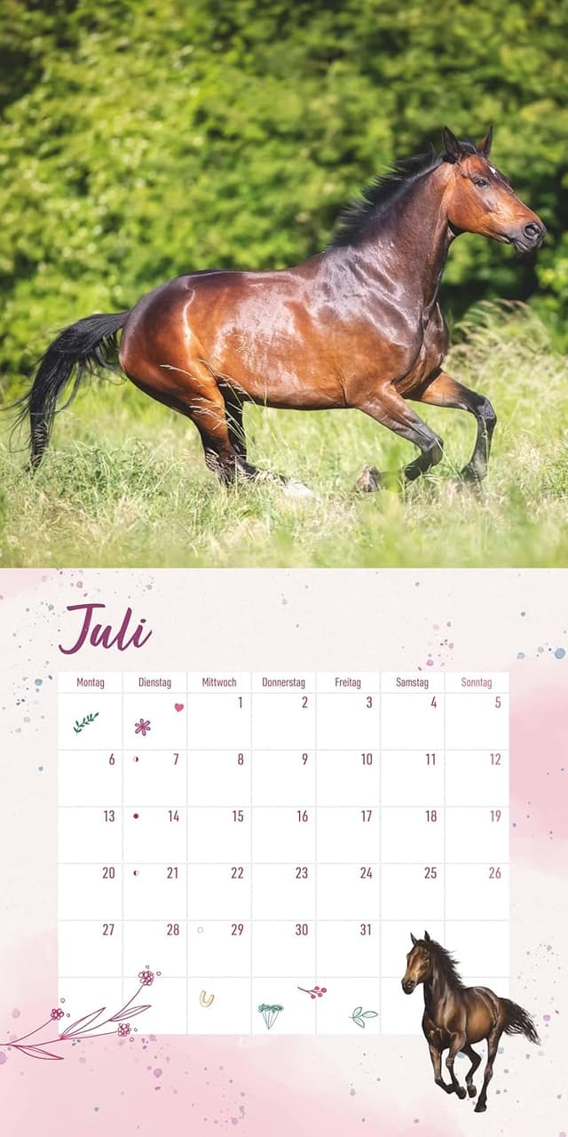 Thumbnail 6 de Alpha Edition Pferdefreunde Kalender 2026 (Broschürenkalender, 30×30 cm) mit Stundenplänen, Ferientabelle & Extra-Spiel