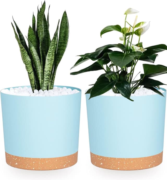 Detalle de QCQHDU 16.5cm Plant Pot (2 Pack) with Drainage Holes & Saucer – LightBlue