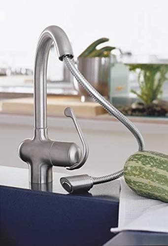 Detalle de GROHE Douchette extensible pour mitigeur Zedra