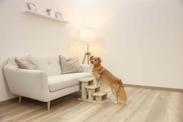 Detalle de KERBL PET Scala Easy Climb 2.0 per letto e divano, 45x35x34 cm