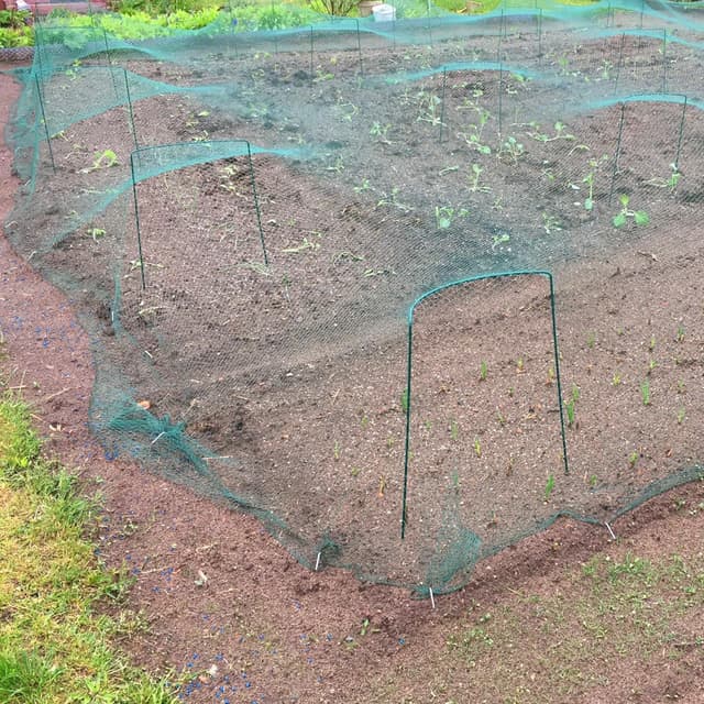 Thumbnail 3 de COM-FOUR 6X macetero 35 cm