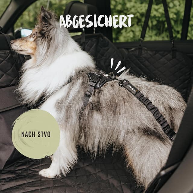 Thumbnail 5 de Rudelkönig Hundegurt 60–80 cm