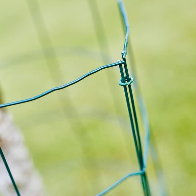 Detalle de Agrafes Rapid VR22 pour grillage, acier galvanisé plastifié vert (compatibles 5 à 11 mm) – 1000 pièces