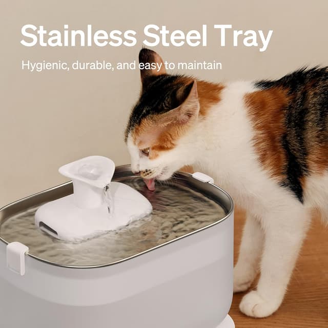 Detalle 2 de PETLIBRO Dockstream 2.5L mains-powered cat water fountain with stainless steel tray