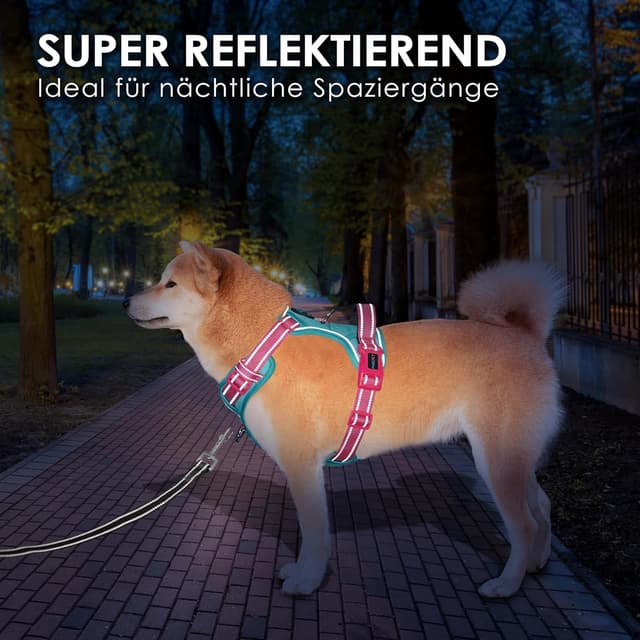 Thumbnail 6 de PHOEPET Anti-Zug Hundegeschirr mit verstellbaren Riemen, reflektierendem Sicherheitsdesign (XL, minzgrüne Basis & pinke Träger)