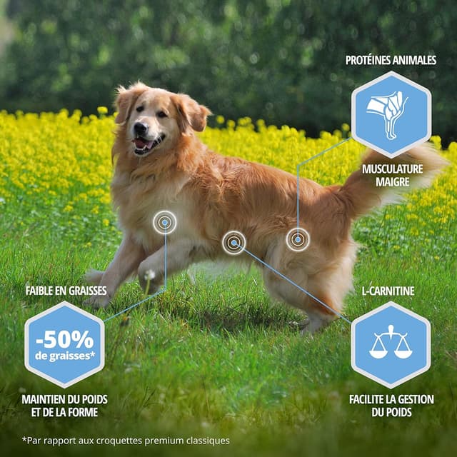 Detalle de Eukanuba Daily Care Adulte Contrôle de Poids Grande Race au Poulet 15 kg